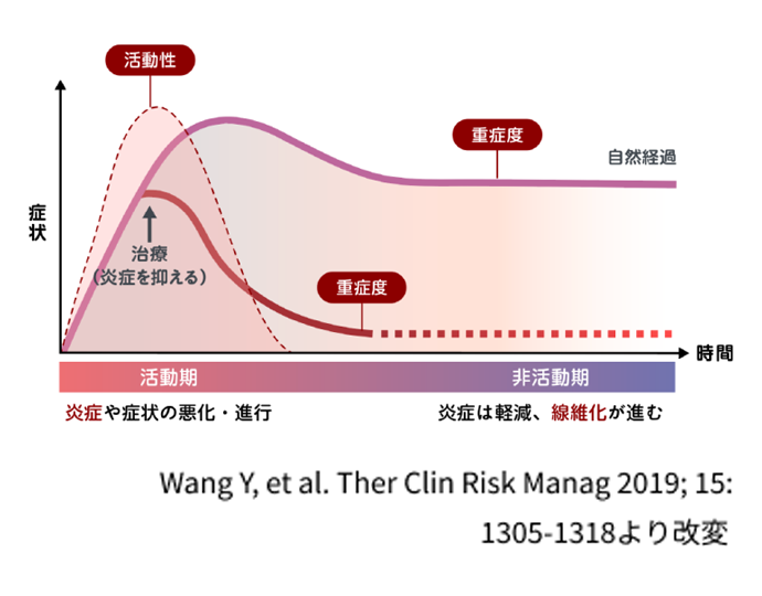 図:甲状腺眼症の症状の経過と早期治療の重要性